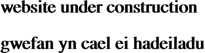 website under construction